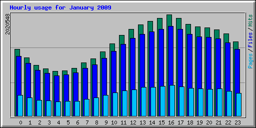 Hourly usage for January 2009